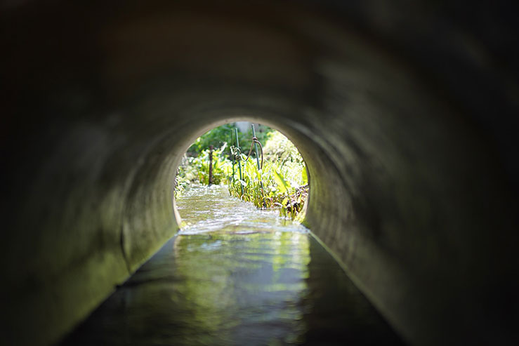 排水の画像