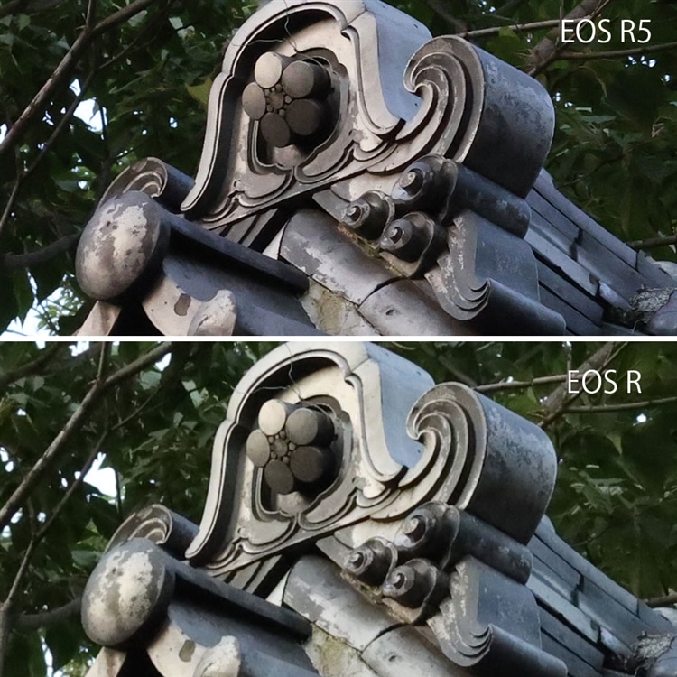EOS R5 vs EOS R ノイズ比較（ISO6400）