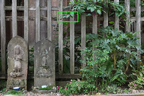 EOS R5 vs EOS R ノイズ比較（ISO25600）拡大枠