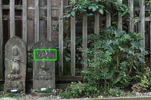 ISO100での画質比較 拡大枠