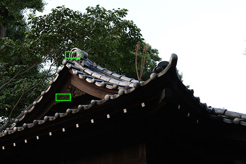 EOS R5 のISO感度による画質の変化拡大枠