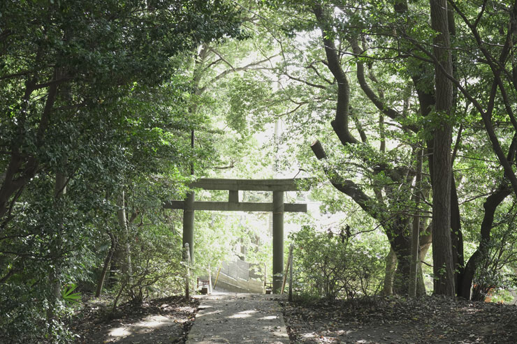 SONY α7C で撮影した鳥居の画像