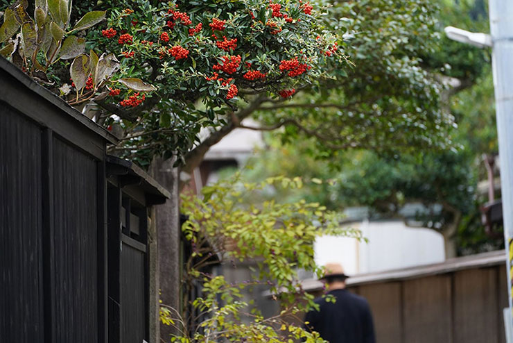 TAMRON 70-300mm F/4.5-6.3 Di III RXD (Model A047)で撮影した路地裏の赤い実の画像