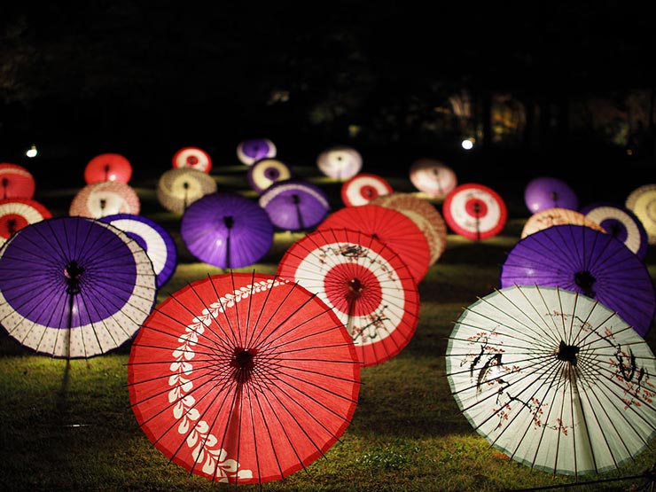 OM-D E-M1 MarkIIIとVoigtlander SUPER NOKTON 29ｍｍ F0.8 Asphericalを組み合わせて撮影したライトアップされた和傘の画像