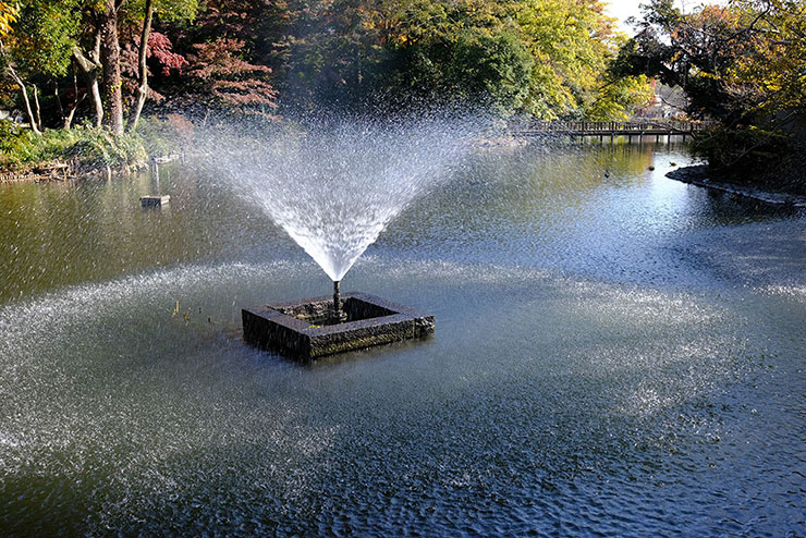 KenkoTokina atx-m 23mm F1.4 フジXで撮影した噴水の画像