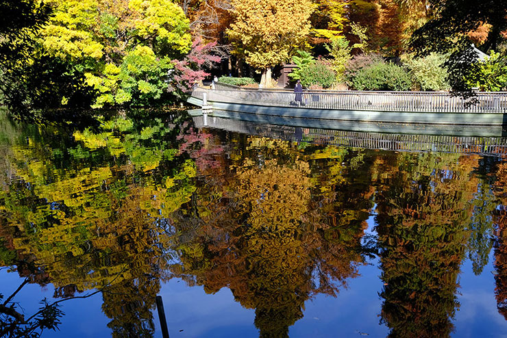 KenkoTokina atx-m 23mm F1.4 フジXで撮影した池に写った紅葉した木々の画像