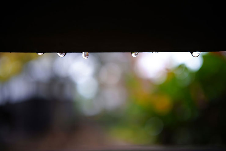 SIGMA 35mm F2 DG DN | Contemporaryで撮影した軒に出来た水玉の画像