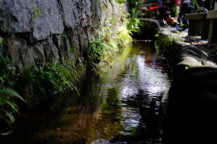 FUJIFILM X-S10で撮影した作例1