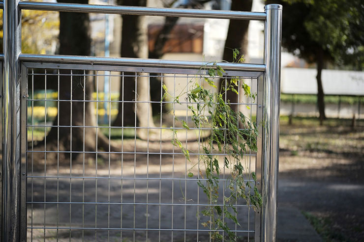 Voigtlander APO-LANTHAR 50mm F2 Aspherical VMで撮影した柵の画像