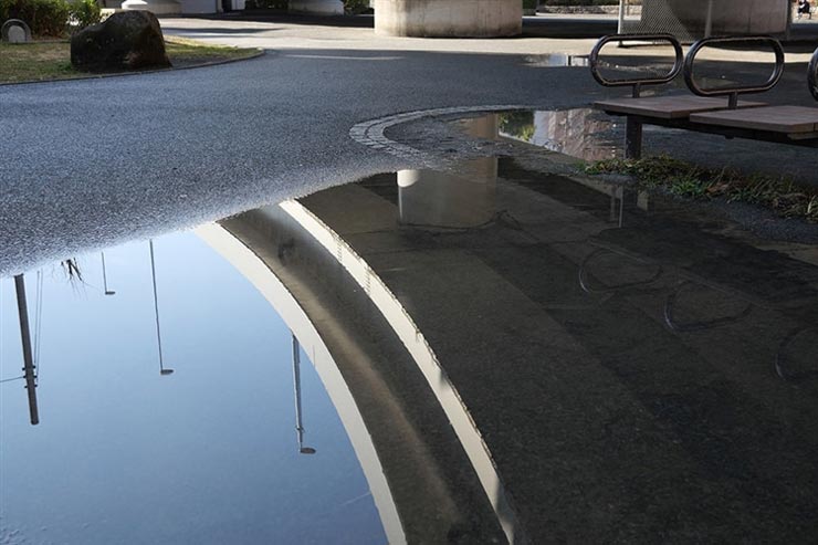 LUMIX G 20mm / F1.7 ASPH.で撮影した水たまりの画像