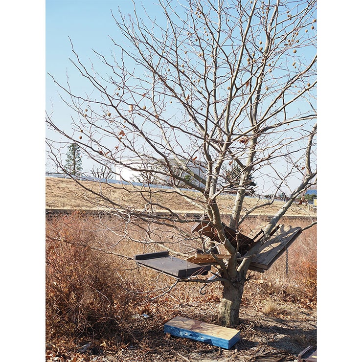 OLYMPUSM.ZUIKO 25mm F1.8 実写レビュー