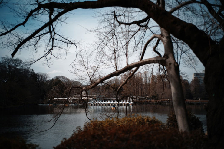 Voigtlander ULTRON Vintage Line 35mm F2 Aspherical TypeII VMで撮影した湖の画像