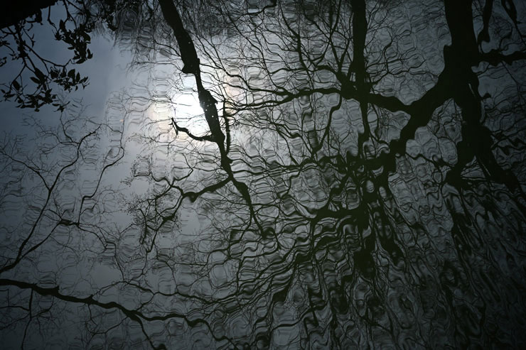 Voigtlander APO-LANTHAR 35mm F2 Aspherical VMで撮影した池に映った木々の画像
