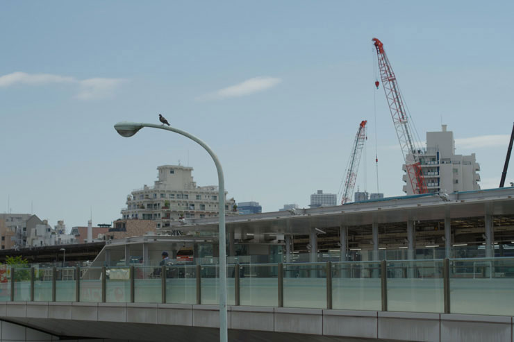 PENTAX K-3 MarkIIIで撮影した街燈に止まっているハトと街の風景画像
