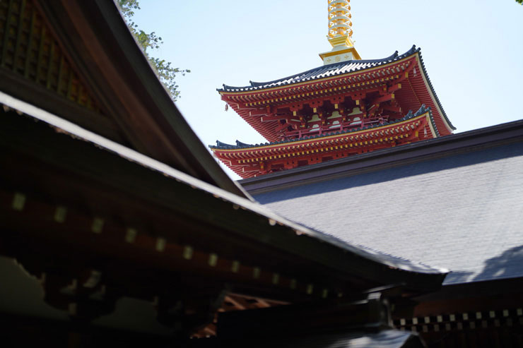 SONY FE 50mm F1.2 GMで撮影した社殿の上に見える層塔の画像