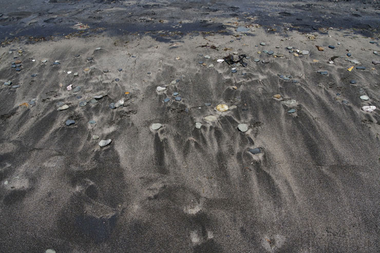 PENTAX HD PENTAX-DA 20-40mmF2.8-4ED Limited DC WRで撮影した砂浜の画像