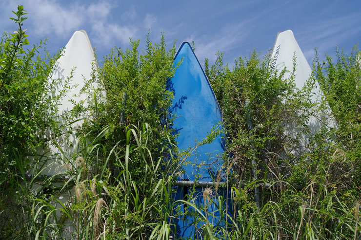 PENTAX HD PENTAX-DA 20-40mmF2.8-4ED Limited DC WRで撮影した草むらの中にあるボートの画像