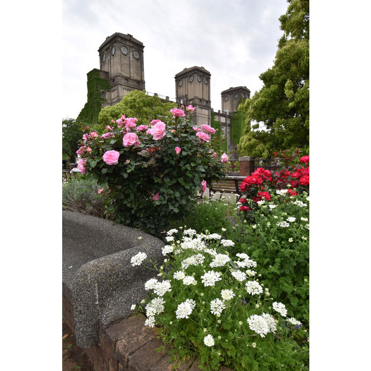 Nikon AF-P DX NIKKOR 10-20mm f/4.5-5.6G VR 実写レビュー Nikon AF-P DX NIKKOR 10-20mm f/4.5-5.6G VR 実写レビュー