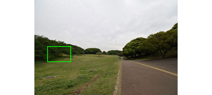Nikon AF-P DX NIKKOR 10-20mm f/4.5-5.6G VR 実写レビュー