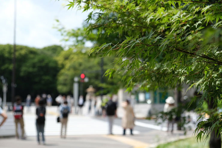 FUJIFILM フジノンレンズ XF18-55mmF2.8-4 R LM OISで撮影した横断歩道で信号待ちをする人々の画像