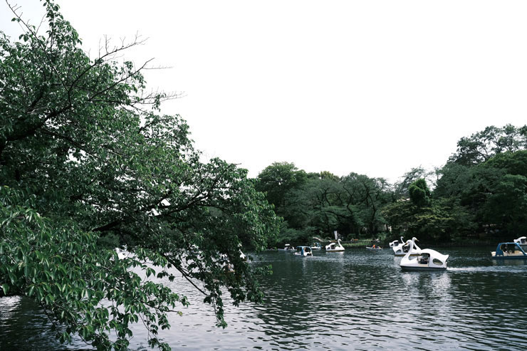 FUJIFILM フジノンレンズ XF18mmF1.4 R LM WRで撮影した池でボート漕ぎを楽しむ人々の画像