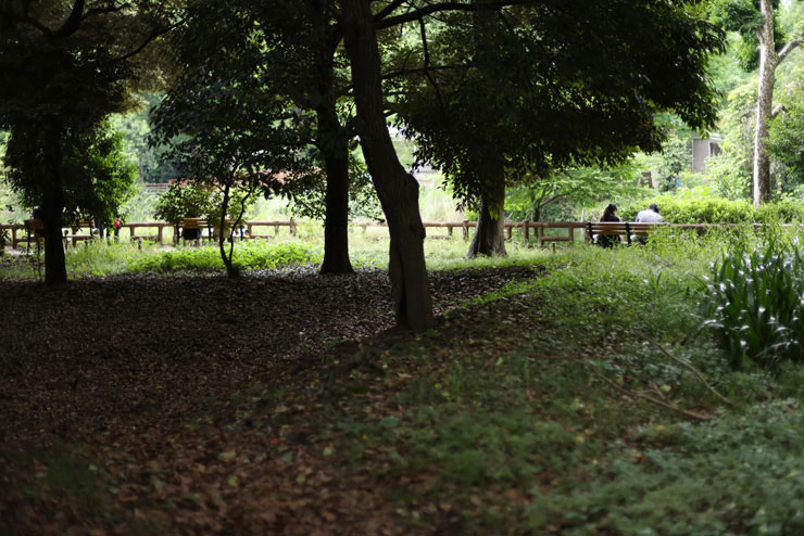Canon EF50mm F1.4 USMで撮影した緑豊かな公園のベンチに座る人々の画像