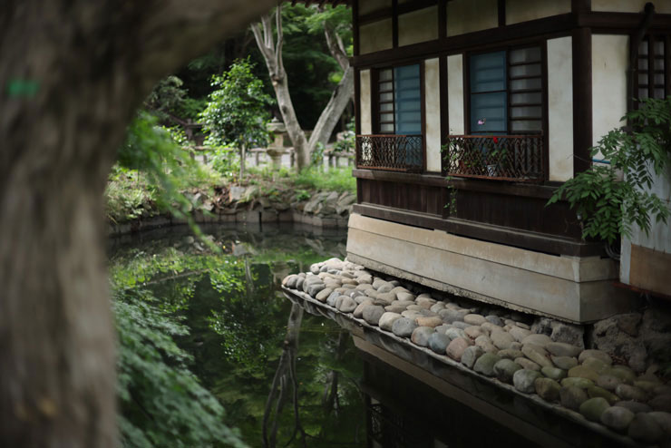 Canon EF50mm F1.4 USM 実写レビュー