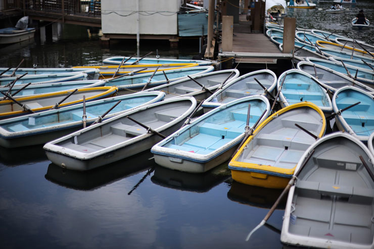 Canon EF50mm F1.4 USMで撮影した池に停泊しているたくさんのボートの画像