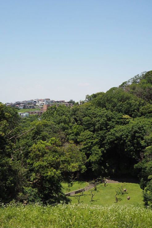 M.ZUIKO DIGITAL 17mm F1.8  作例：遠景