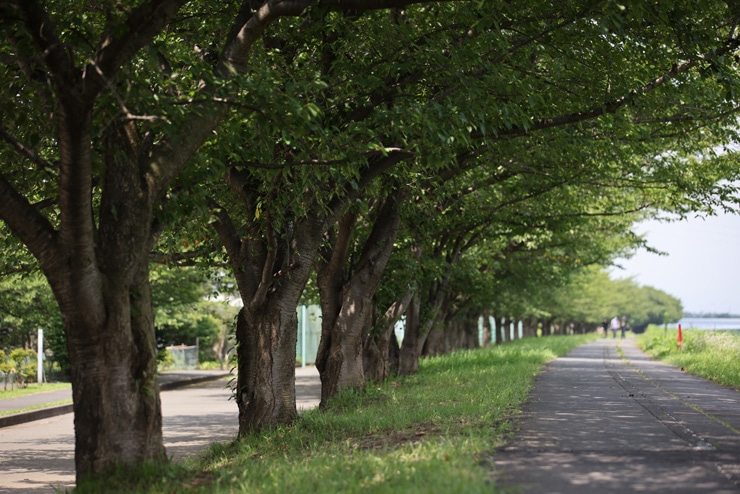 Canon EF 70-200mm F2.8 L IS II USM 作例：河川敷