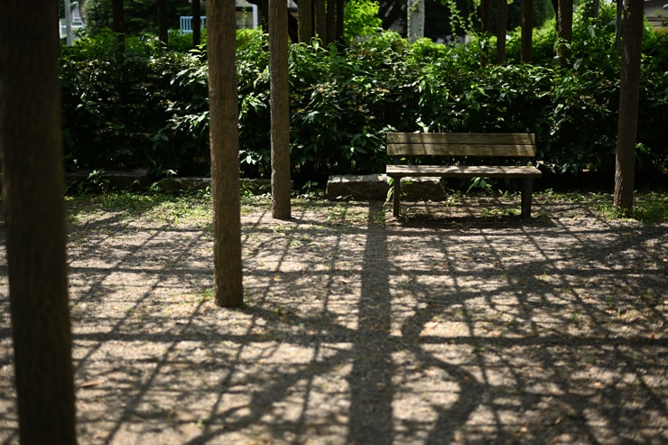 Nikon AF-S NIKKOR 50mm f/1.8 G 実写レビュー