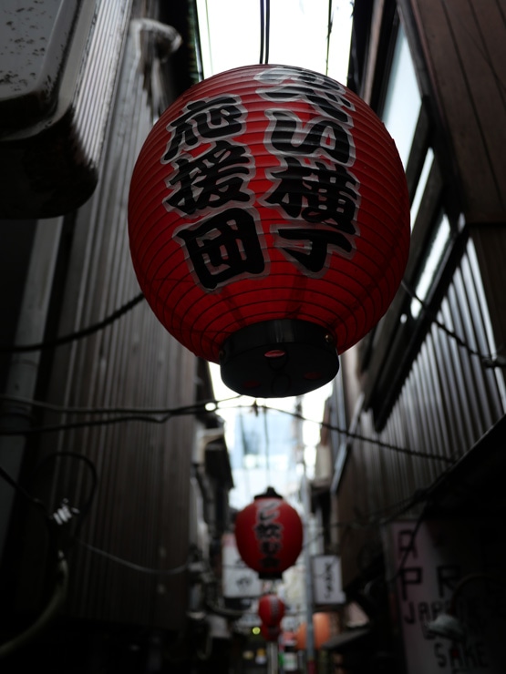 LUMIX G 14mm/F2.5 ASPH. 作例：提灯