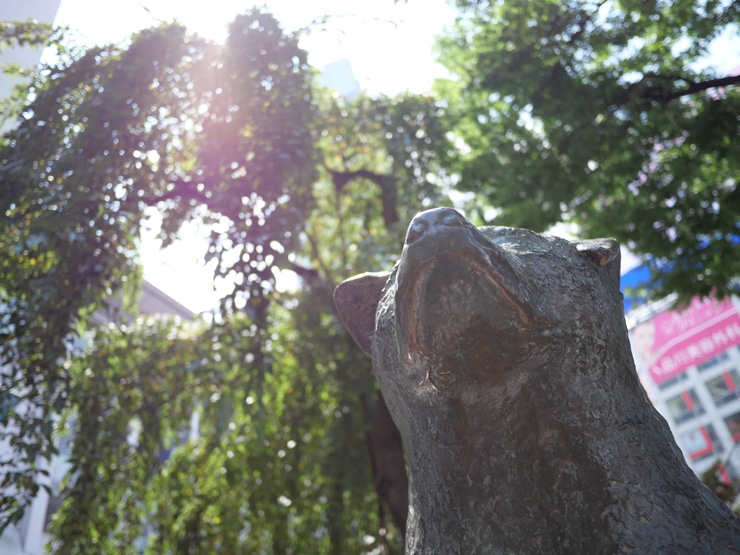 LUMIX G 14mm/F2.5 ASPH. 作例：ハチ公
