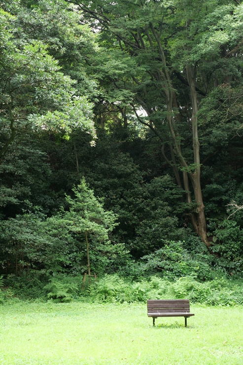 LUMIX G X VARIO 12-35mm / F2.8 II ASPH. / POWER O.I.S. 作例：公園のベンチ