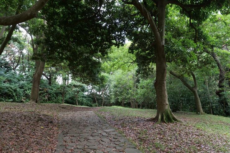 LUMIX G X VARIO 12-35mm / F2.8 II ASPH. / POWER O.I.S. 作例：石畳の道