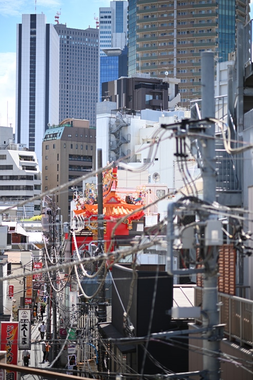 Nikon AF NIKKOR 85mm F1.8　作例あり 作例ありレビュー】Nikon Z 85mm f1.8 S で紅葉を撮ってきた