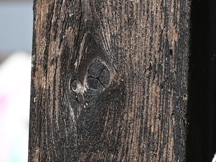 Nikon AF-S NIKKOR 85mm f/1.8 G 画質について(拡大した画像)