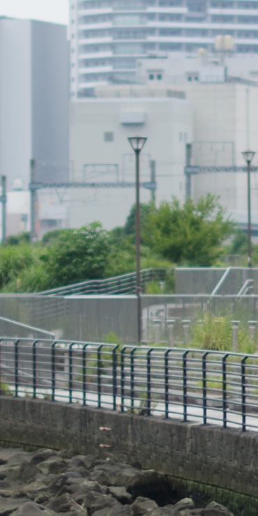 PENTAX smc PENTAX-DA★55mmF1.4 SDM 画質：F1.4で撮影した風景(拡大した画像)