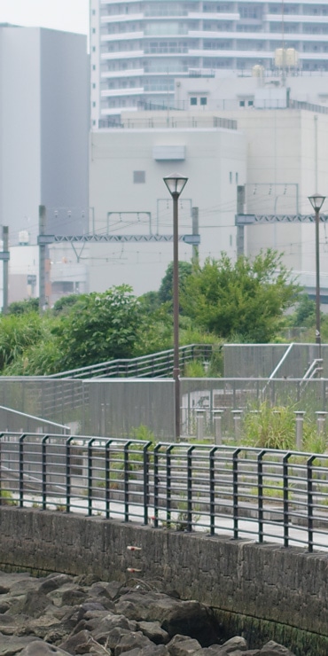 PENTAX smc PENTAX-DA☆55mmF1.4 SDM 実写レビュー PENTAX smc PENTAX-DA☆55mmF1.4 SDM 実写レビュー