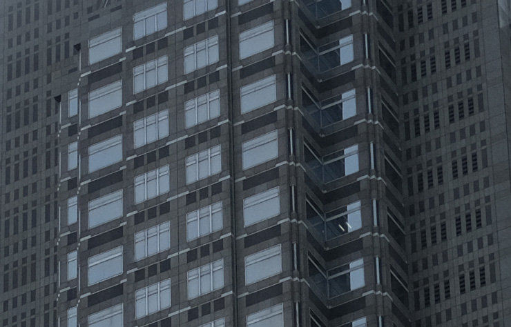 FUJIFILM XF35mmF2 R WR 画質：都庁(拡大した画像)