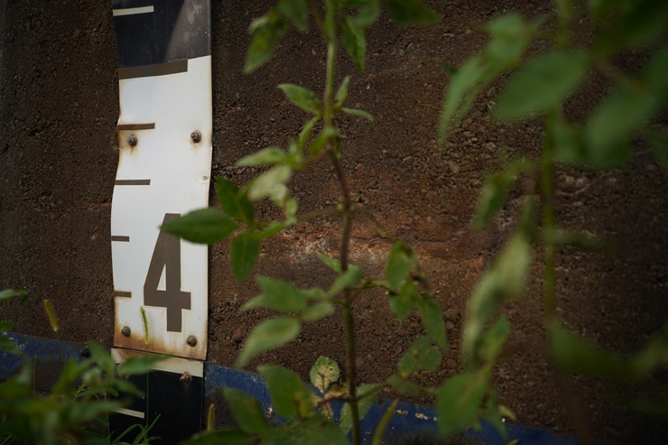 SIGMA 24mm F2 DG DN | Contemporary 作例：錆びた看板