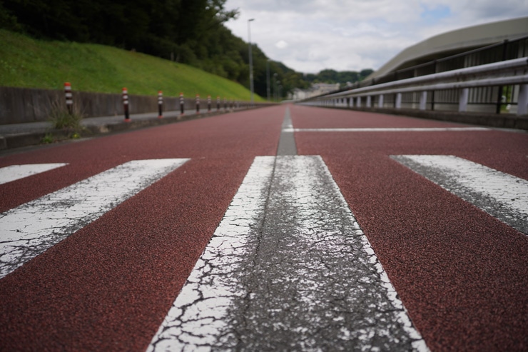SIGMA 24mm F2 DG DN | Contemporary 作例：横断歩道