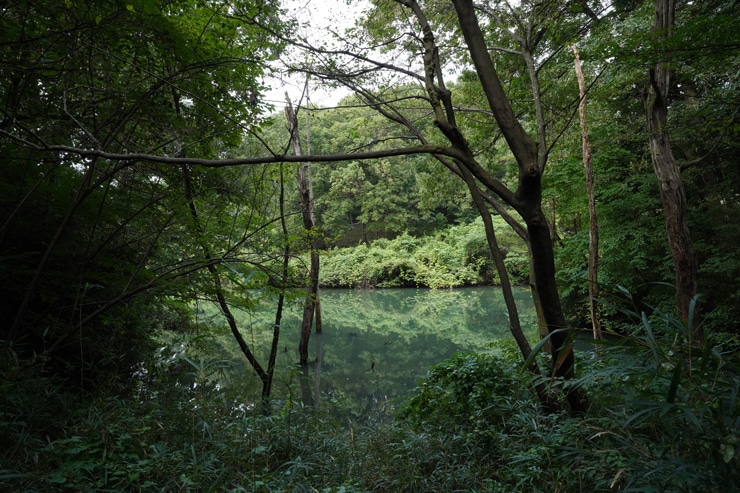 SIGMA 24mm F2 DG DN | Contemporary 作例：湖