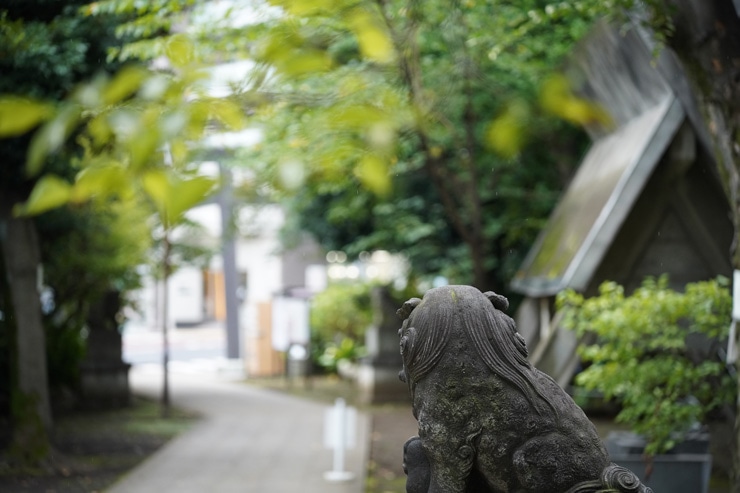 SIGMA 90mm F2.8 DG DN | Contemporary 作例：狛犬の後ろ姿