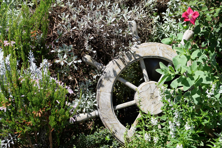 LUMIX G 42.5mm / F1.7 ASPH. / POWER O.I.S. 作例：植物とオブジェ