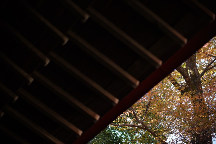 TAMRON 28-75mm F2.8 Di III VXD G2 作例：屋根