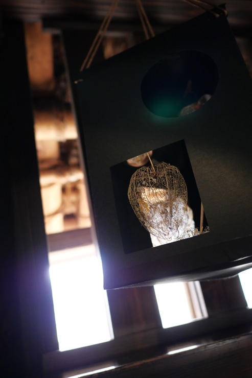 Panasonic LEICA DG SUMMILUX 15mm / F1.7 ASPH. 作例:ほおずき