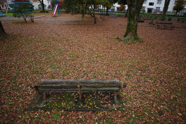 PENTAX HD PENTAX-D FA 21mmF2.4ED Limited DC WR 作例：公園