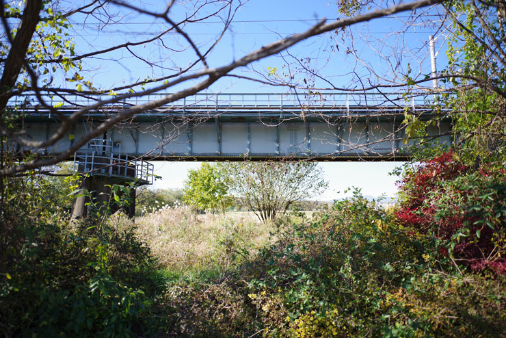 PENTAX HD PENTAX-D FA 21mmF2.4ED Limited DC WR 作例：橋梁