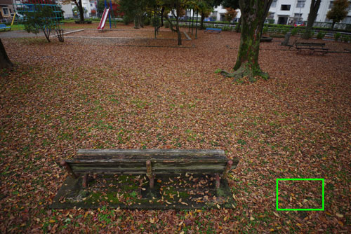 PENTAX HD PENTAX-D FA 21mmF2.4ED Limited DC WR 作例：公園